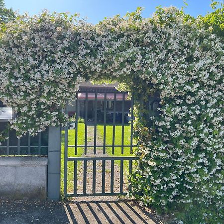 Garda Art&Garden Villa Volta Mantovana Luaran gambar