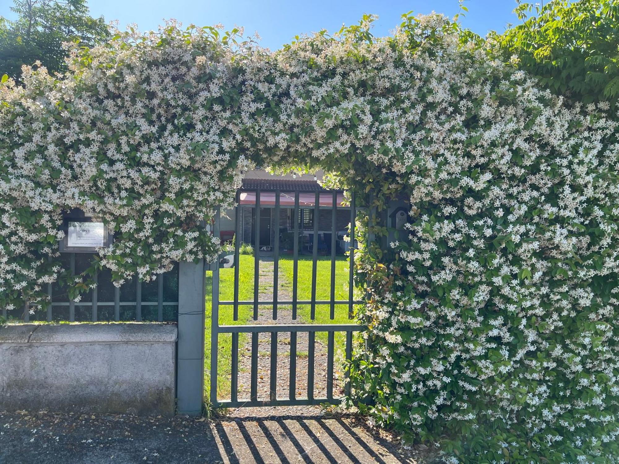 Garda Art&Garden Villa Volta Mantovana Luaran gambar