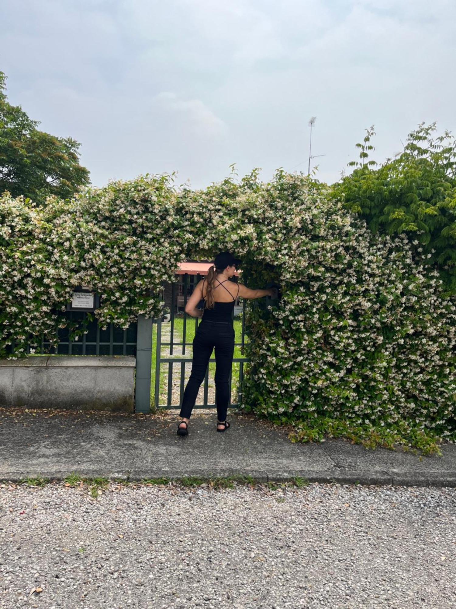Garda Art&Garden Villa Volta Mantovana Luaran gambar